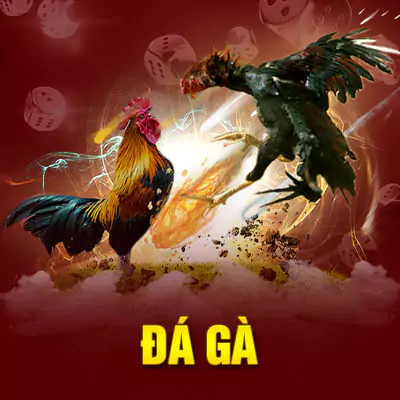 Đá gà Da88